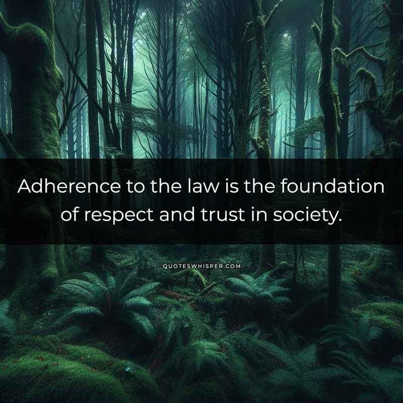 Adherence to the law is the foundation of respect and trust in society.