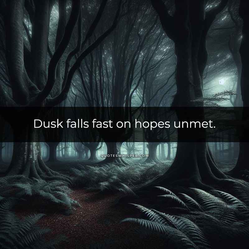 Dusk falls fast on hopes unmet.