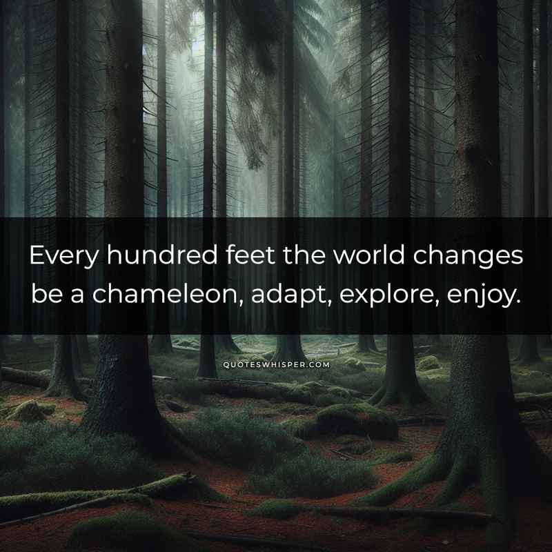 Every hundred feet the world changes be a chameleon, adapt, explore, enjoy.