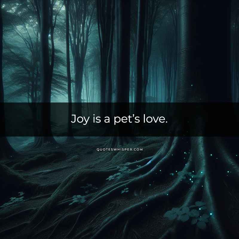 Joy is a pet’s love.