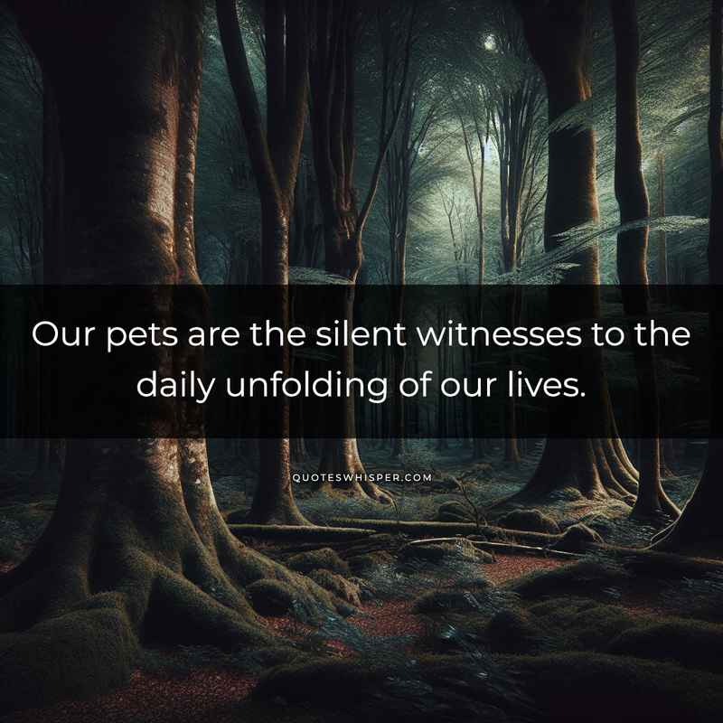 Our pets are the silent witnesses to the daily unfolding of our lives.