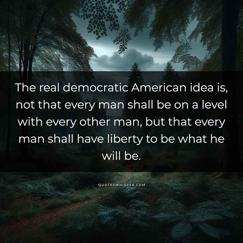 The real democratic American idea is, not that every man shall be on a level with every other man, but that every man shall have liberty to be what he will be.