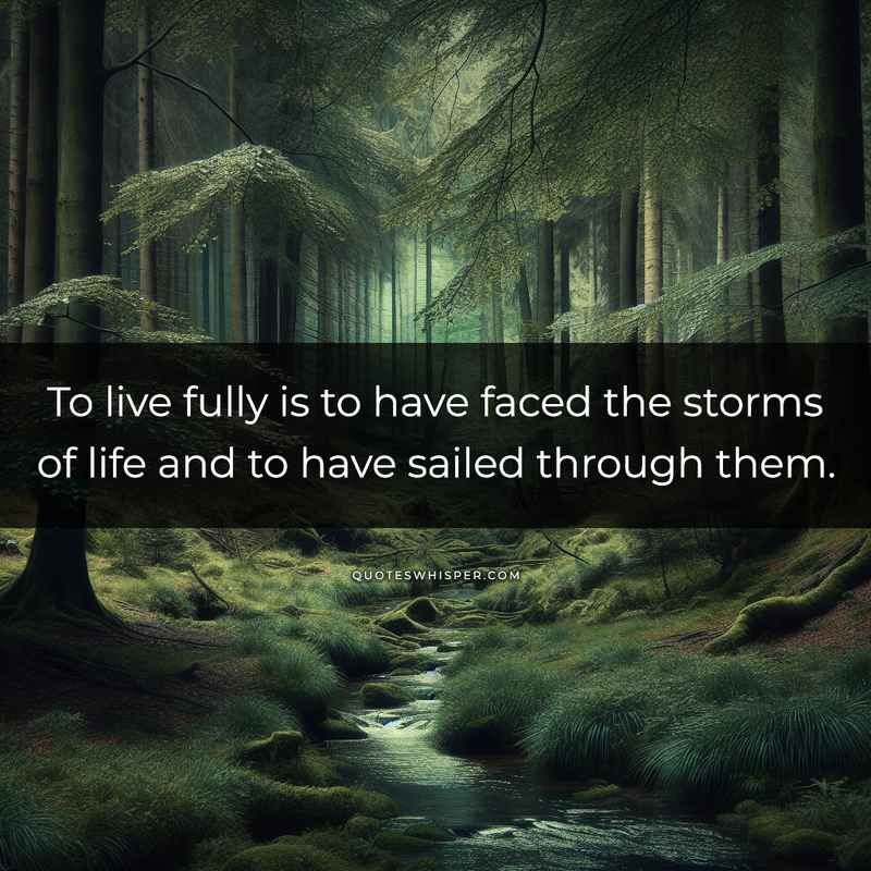 To live fully is to have faced the storms of life and to have sailed through them.