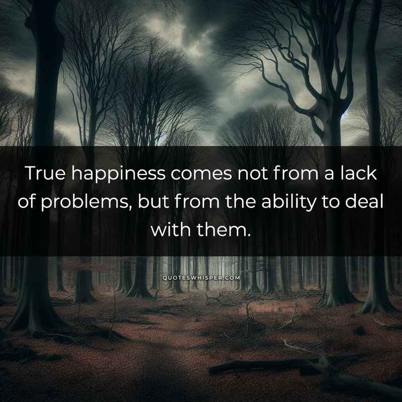 True happiness comes not from a lack of problems, but from the ability to deal with them.