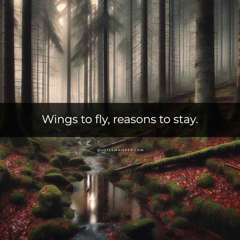 Wings to fly, reasons to stay.