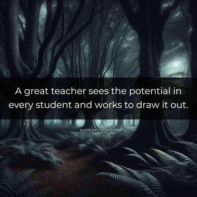 A great teacher sees the potential in every student and works to draw it out.