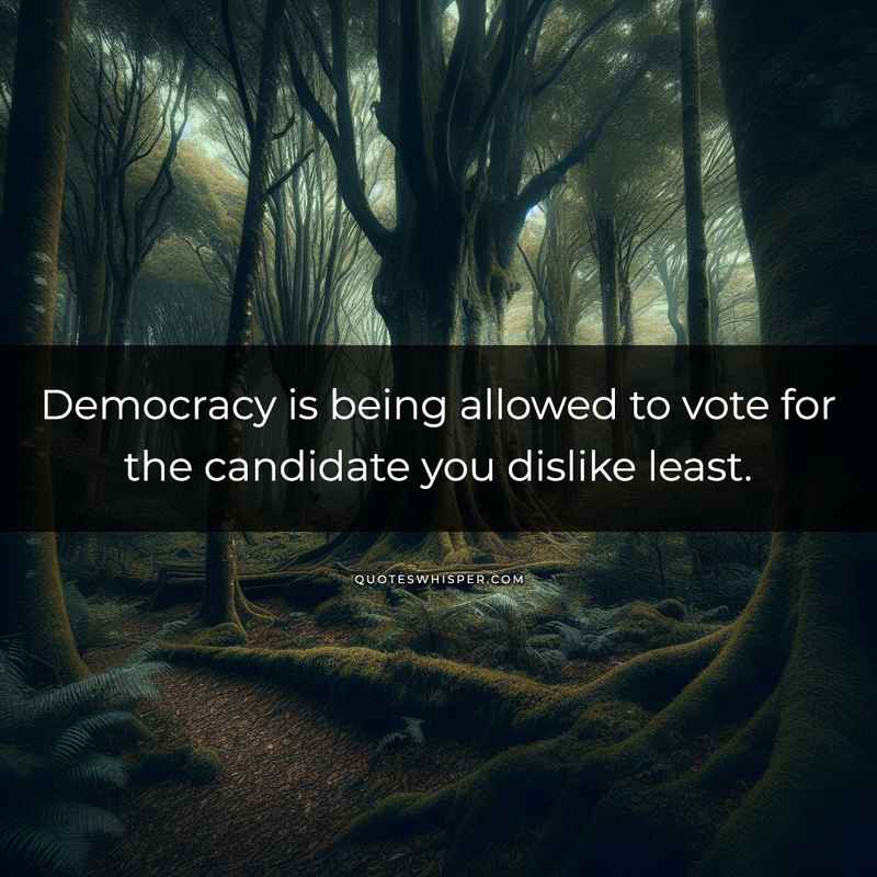 Democracy is being allowed to vote for the candidate you dislike least.