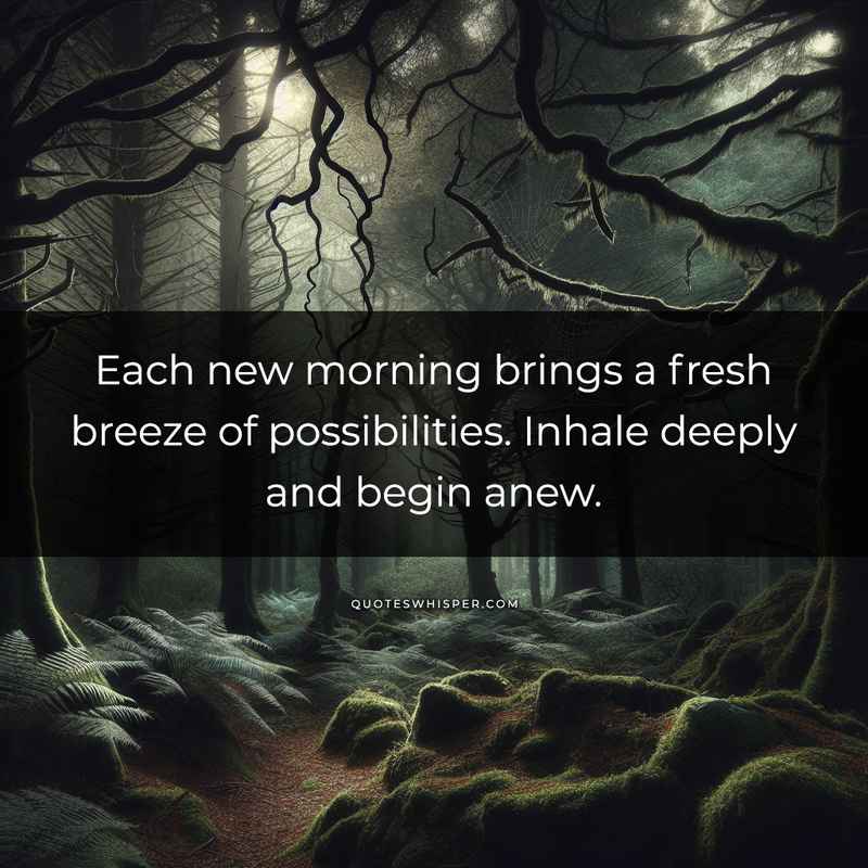 Each new morning brings a fresh breeze of possibilities. Inhale deeply and begin anew.