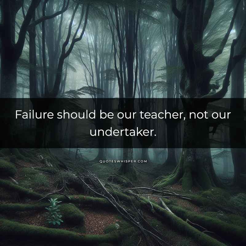 Failure should be our teacher, not our undertaker.