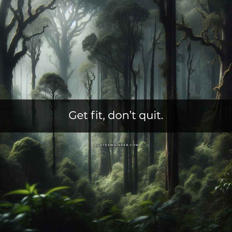 Get fit, don’t quit.