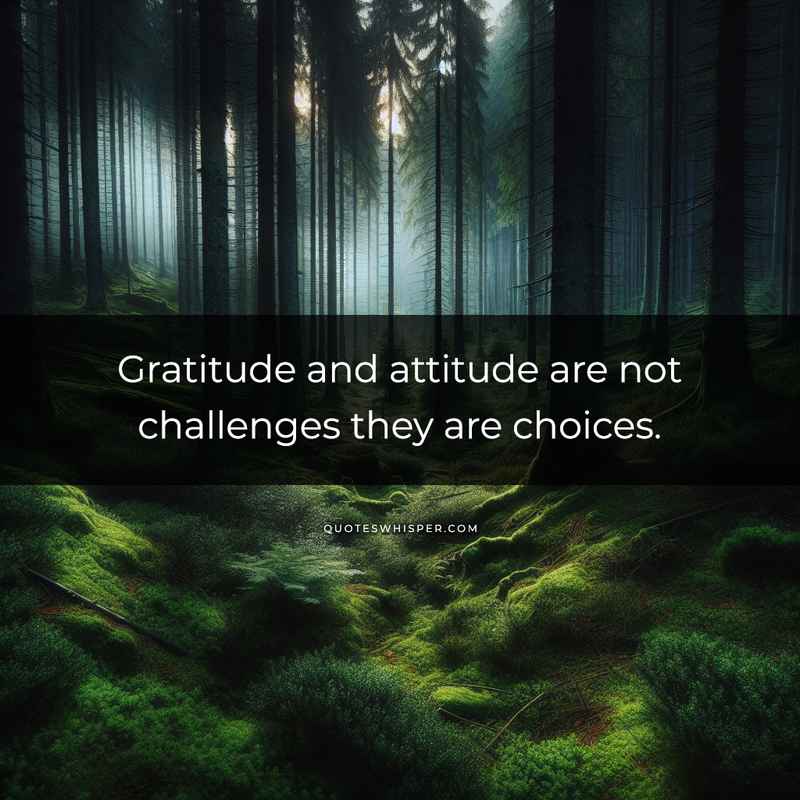Gratitude and attitude are not challenges they are choices.