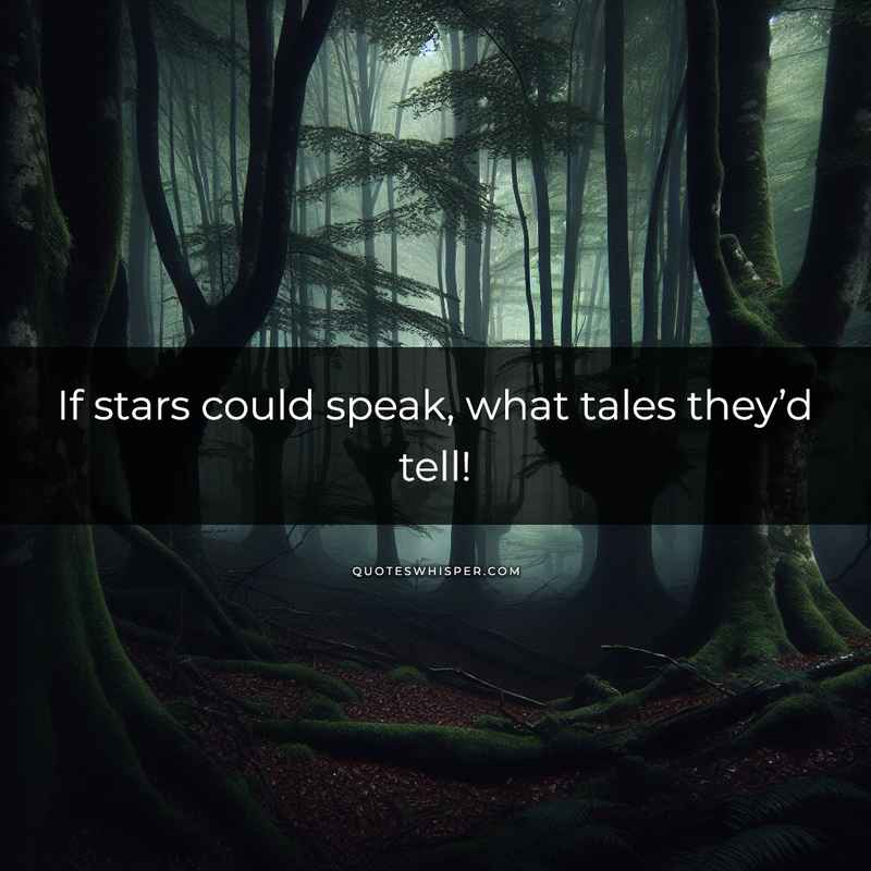 If stars could speak, what tales they’d tell!