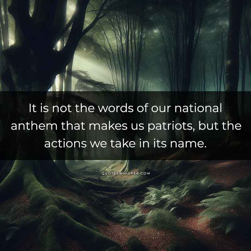 It is not the words of our national anthem that makes us patriots, but the actions we take in its name.