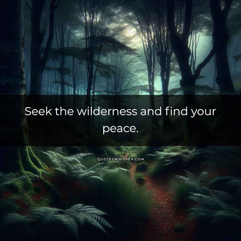 Seek the wilderness and find your peace.