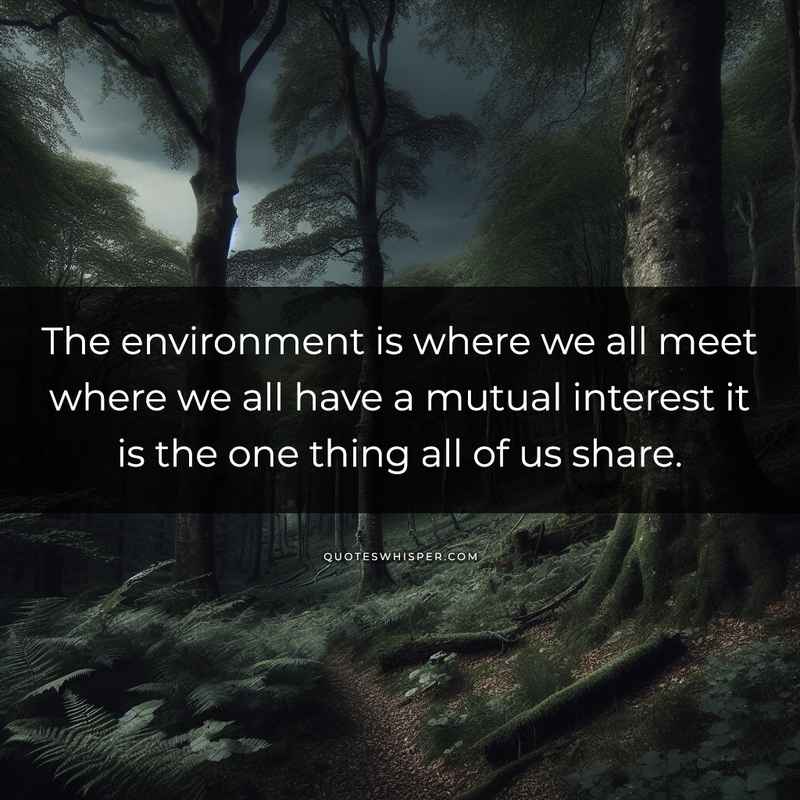The environment is where we all meet where we all have a mutual interest it is the one thing all of us share.