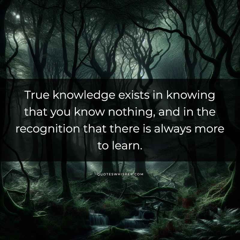 True knowledge exists in knowing that you know nothing, and in the recognition that there is always more to learn.