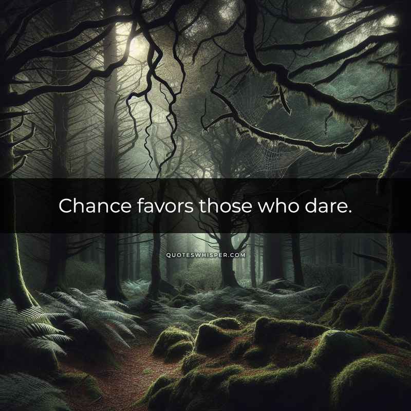Chance favors those who dare.