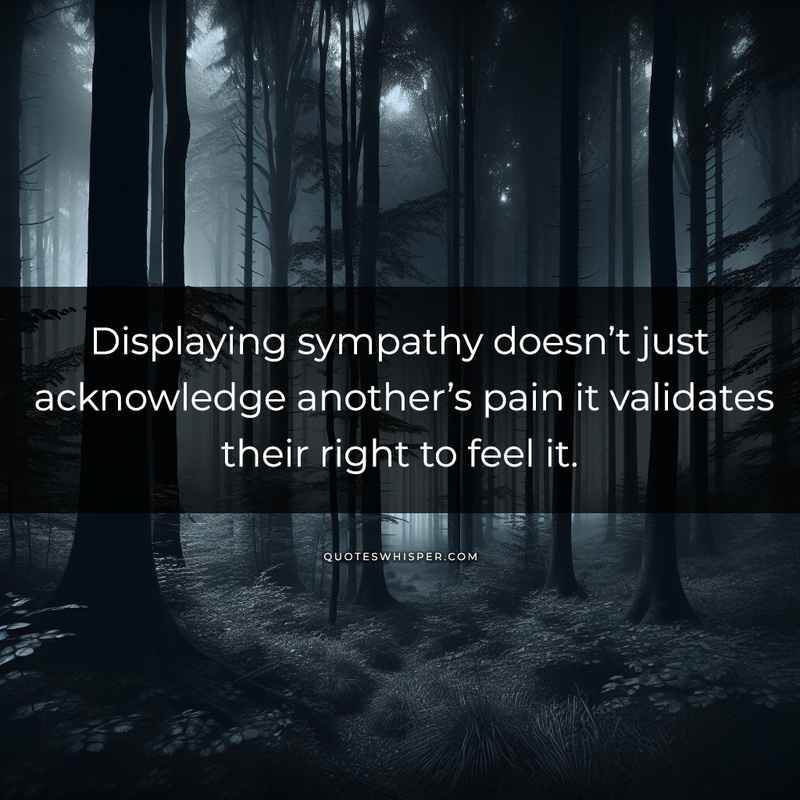 Displaying sympathy doesn’t just acknowledge another’s pain it validates their right to feel it.