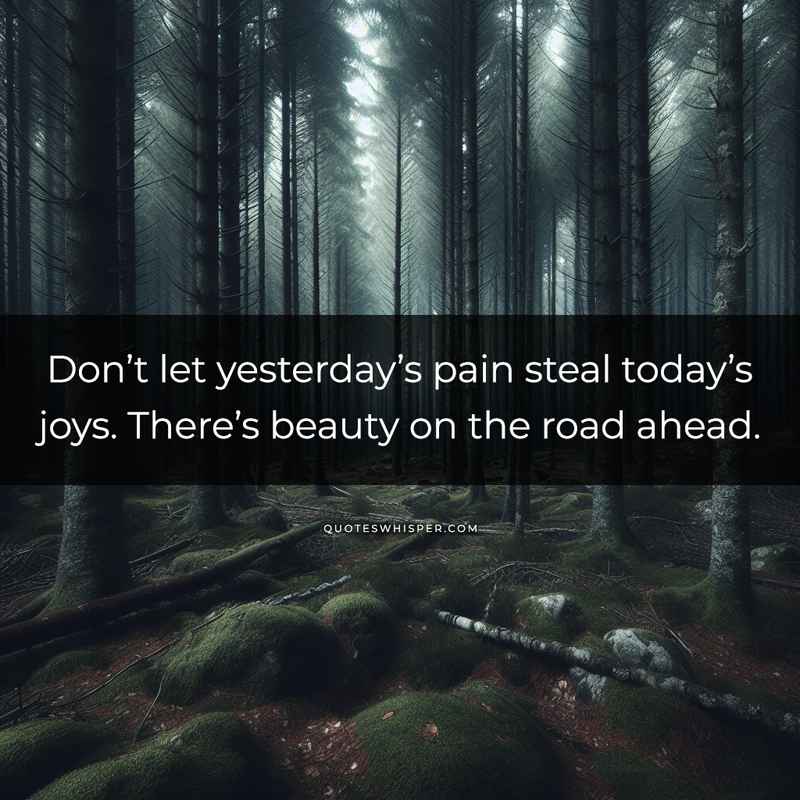 Don’t let yesterday’s pain steal today’s joys. There’s beauty on the road ahead.