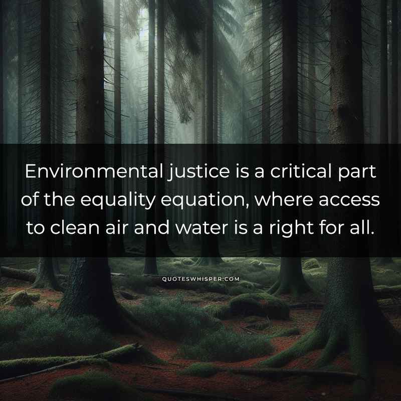 Environmental justice is a critical part of the equality equation, where access to clean air and water is a right for all.