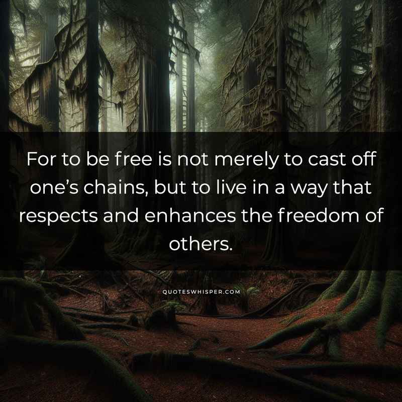 For to be free is not merely to cast off one’s chains, but to live in a way that respects and enhances the freedom of others.