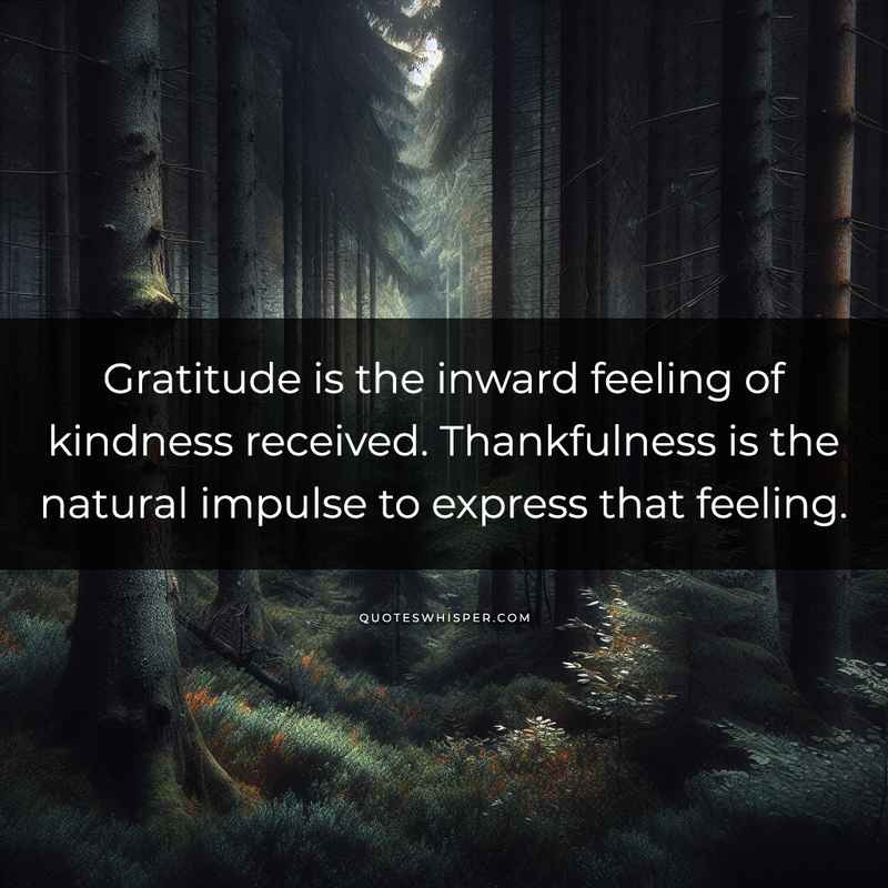Gratitude is the inward feeling of kindness received. Thankfulness is the natural impulse to express that feeling.