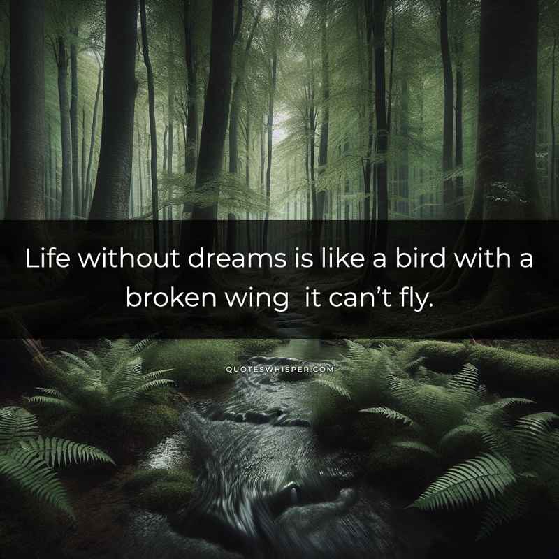Life without dreams is like a bird with a broken wing it can’t fly.