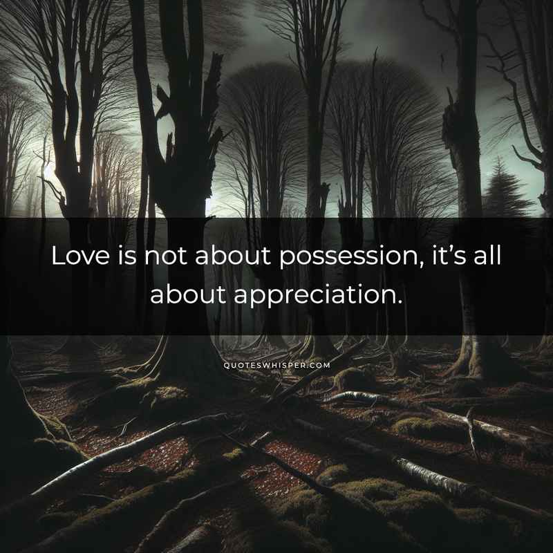 Love is not about possession, it’s all about appreciation.