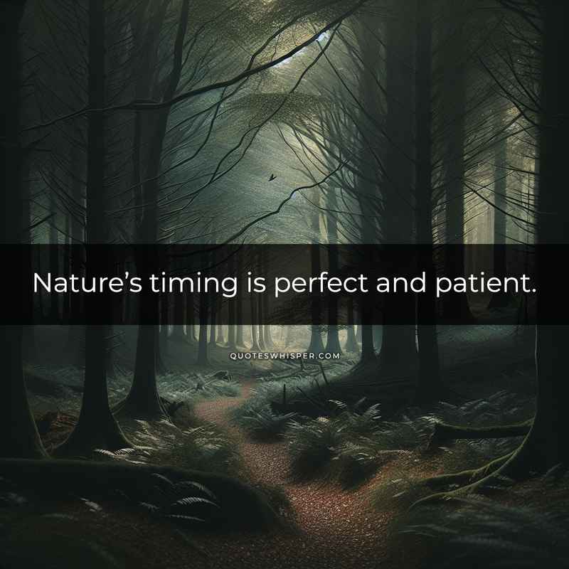 Nature’s timing is perfect and patient.