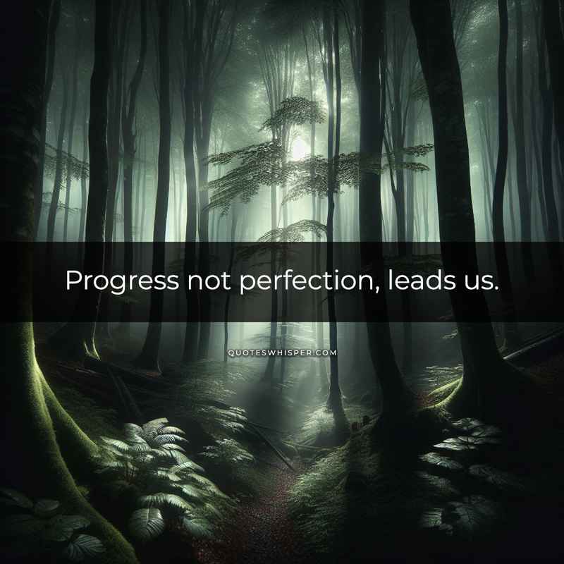 Progress not perfection, leads us.