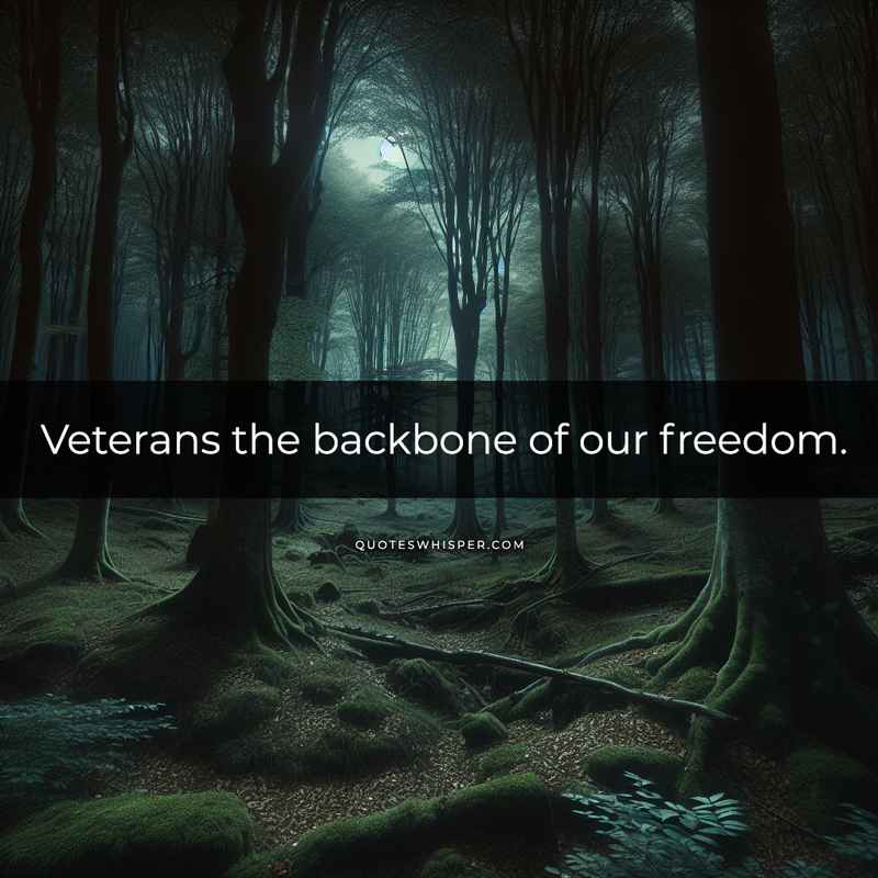 Veterans the backbone of our freedom.