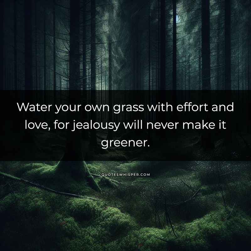Water your own grass with effort and love, for jealousy will never make it greener.