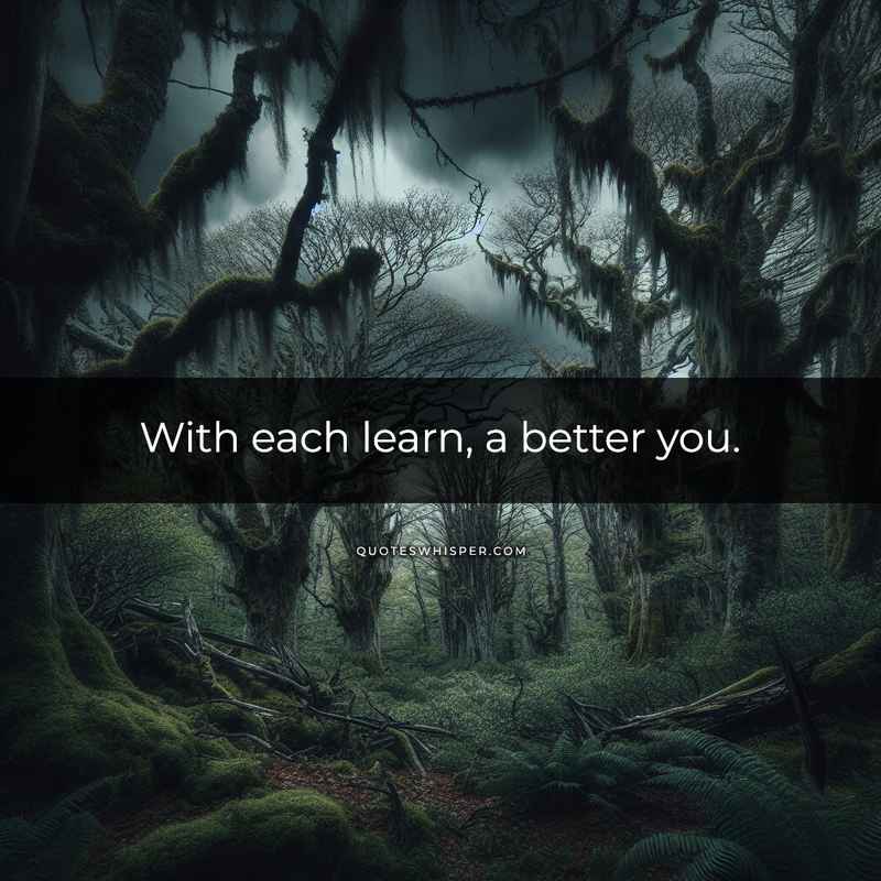 With each learn, a better you.