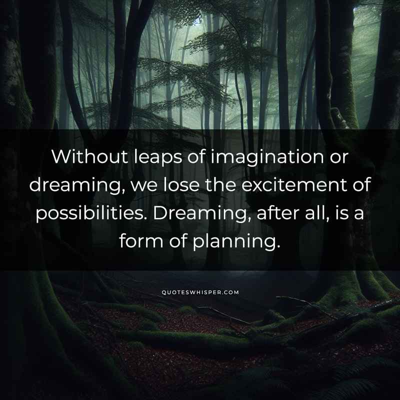 Without leaps of imagination or dreaming, we lose the excitement of possibilities. Dreaming, after all, is a form of planning.