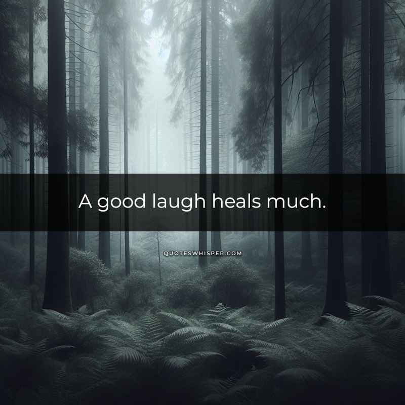 A good laugh heals much.