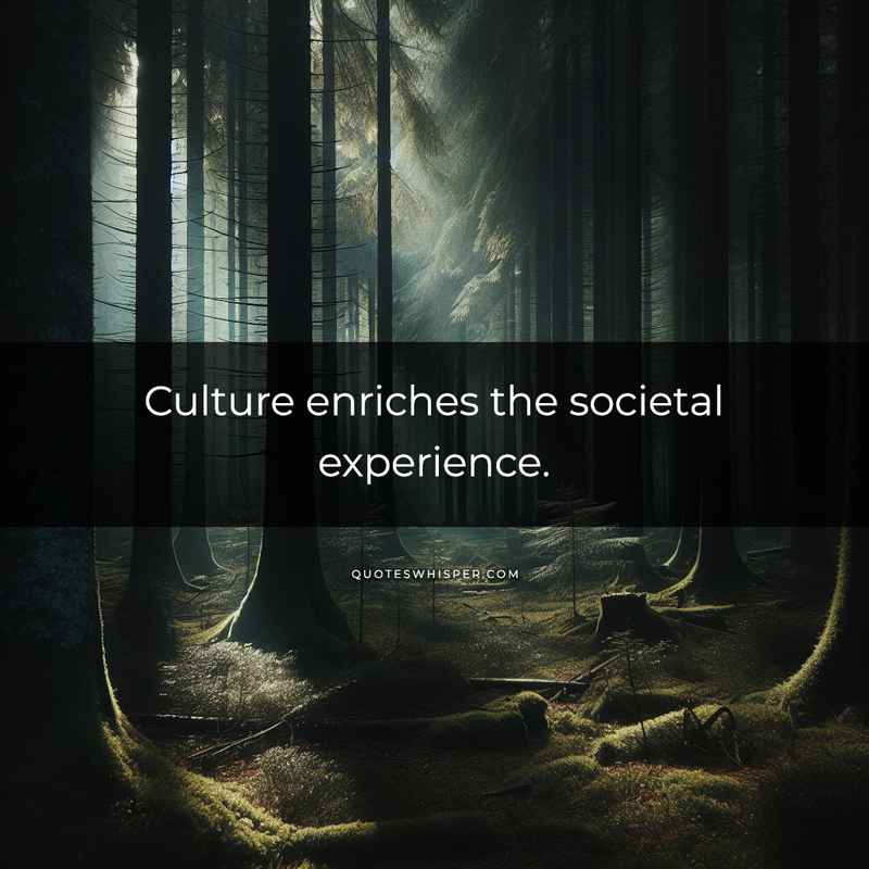 Culture enriches the societal experience.