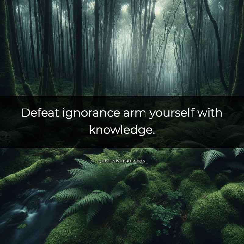 Defeat ignorance arm yourself with knowledge.