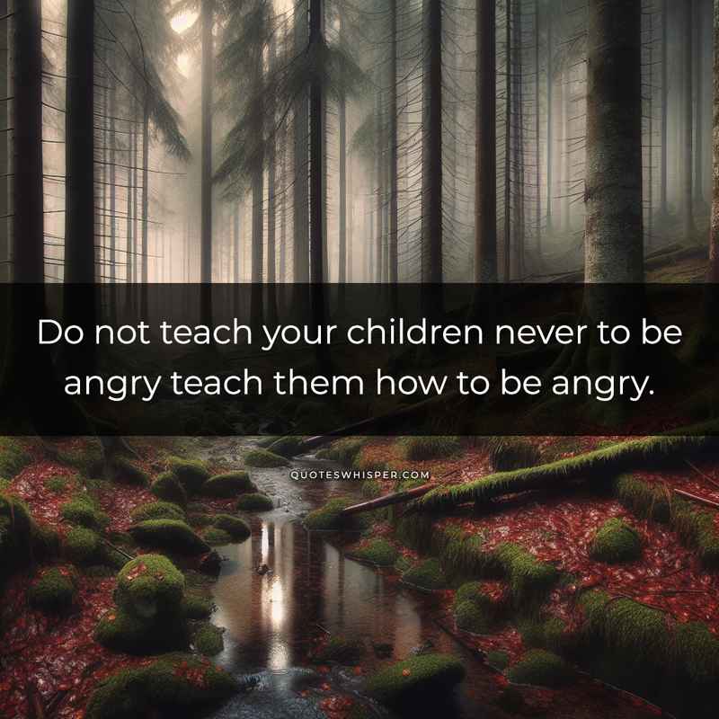 Do not teach your children never to be angry teach them how to be angry.
