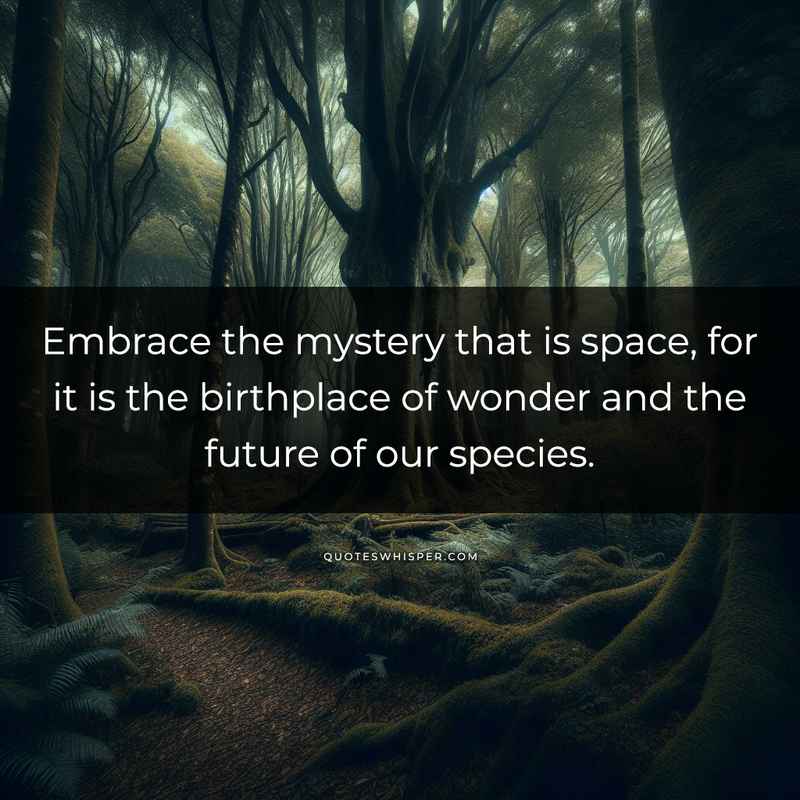 Embrace the mystery that is space, for it is the birthplace of wonder and the future of our species.