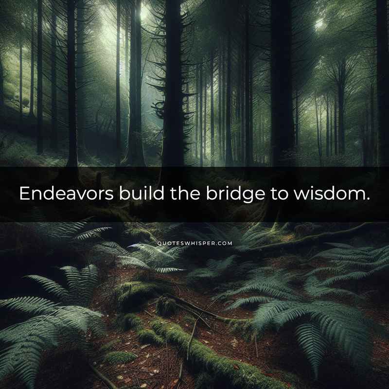Endeavors build the bridge to wisdom.