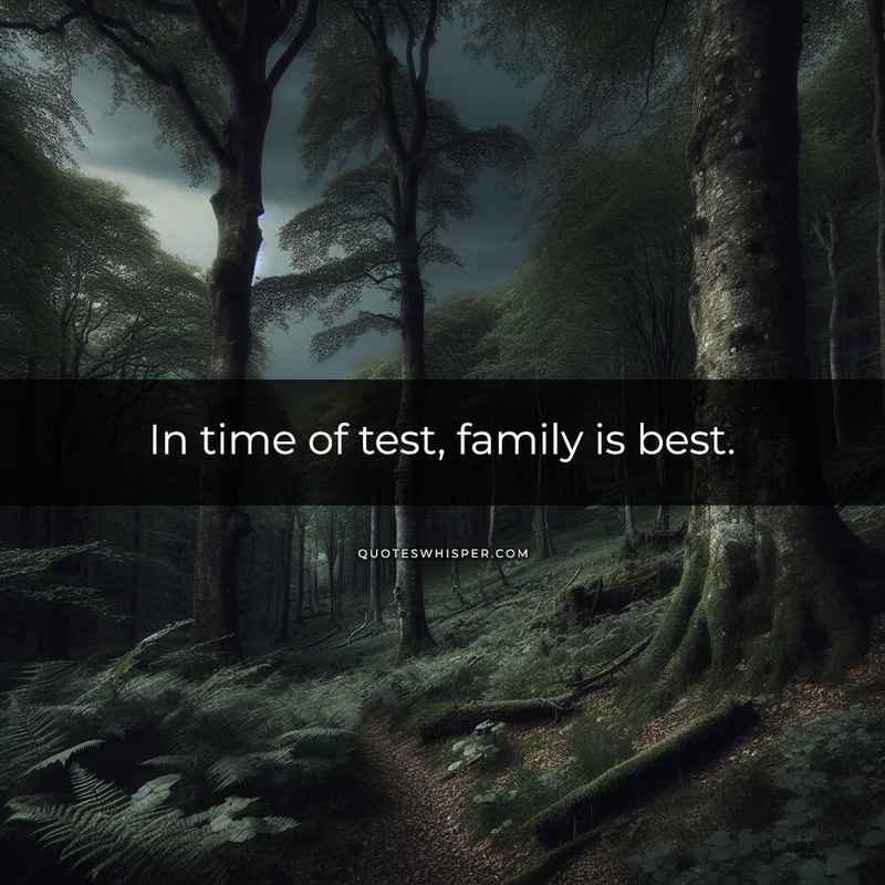 In time of test, family is best.