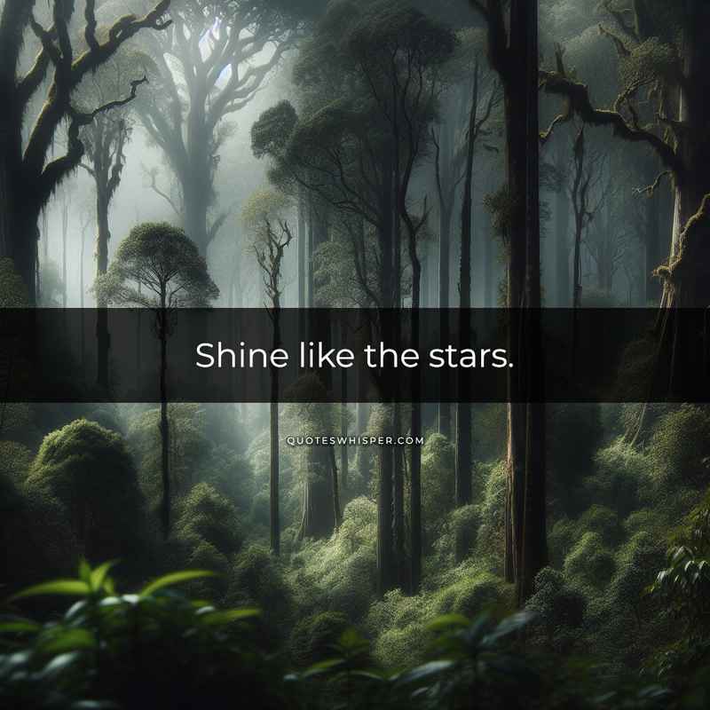 Shine like the stars.