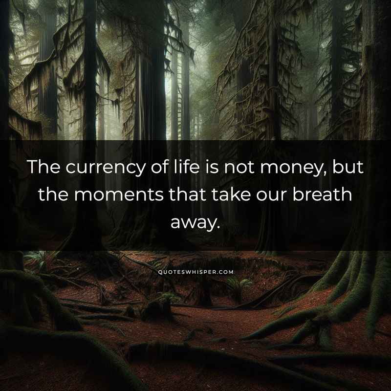 The currency of life is not money, but the moments that take our breath away.