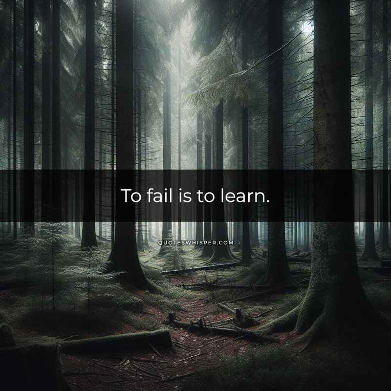 To fail is to learn.