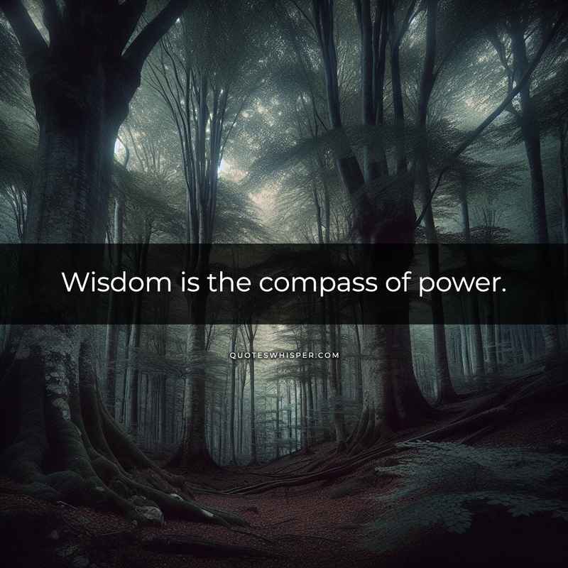 Wisdom is the compass of power.