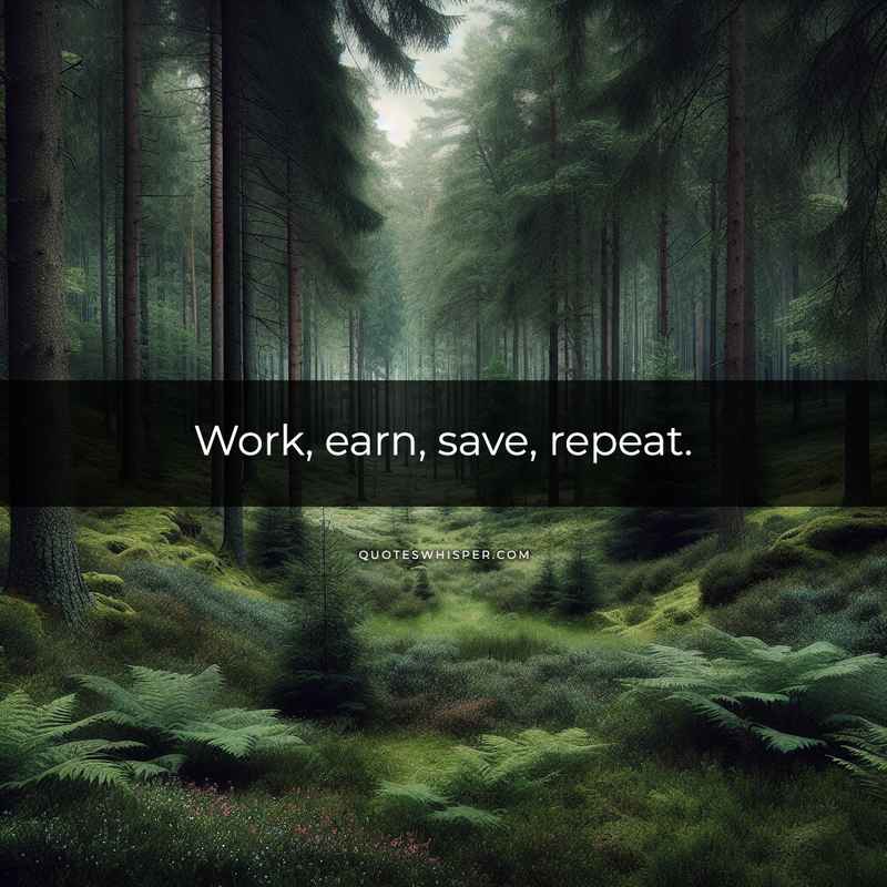 Work, earn, save, repeat.