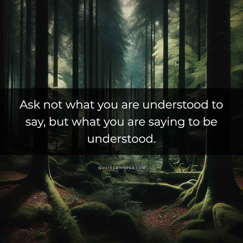 Ask not what you are understood to say, but what you are saying to be understood.