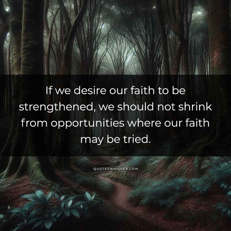 If we desire our faith to be strengthened, we should not shrink from opportunities where our faith may be tried.