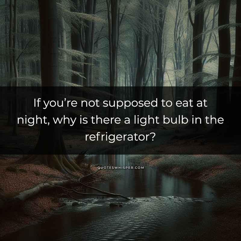 If you’re not supposed to eat at night, why is there a light bulb in the refrigerator?