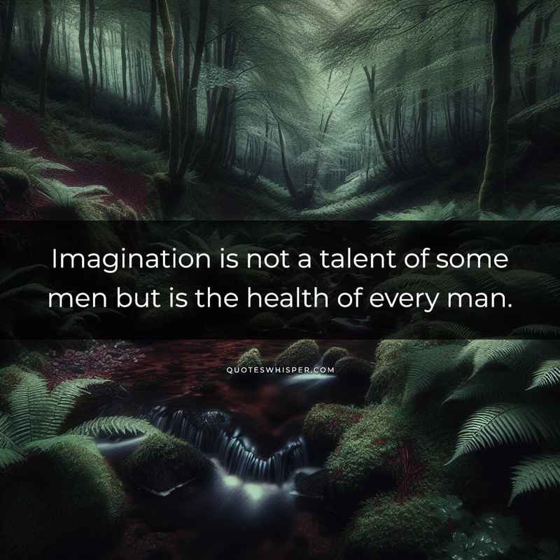 Imagination is not a talent of some men but is the health of every man.